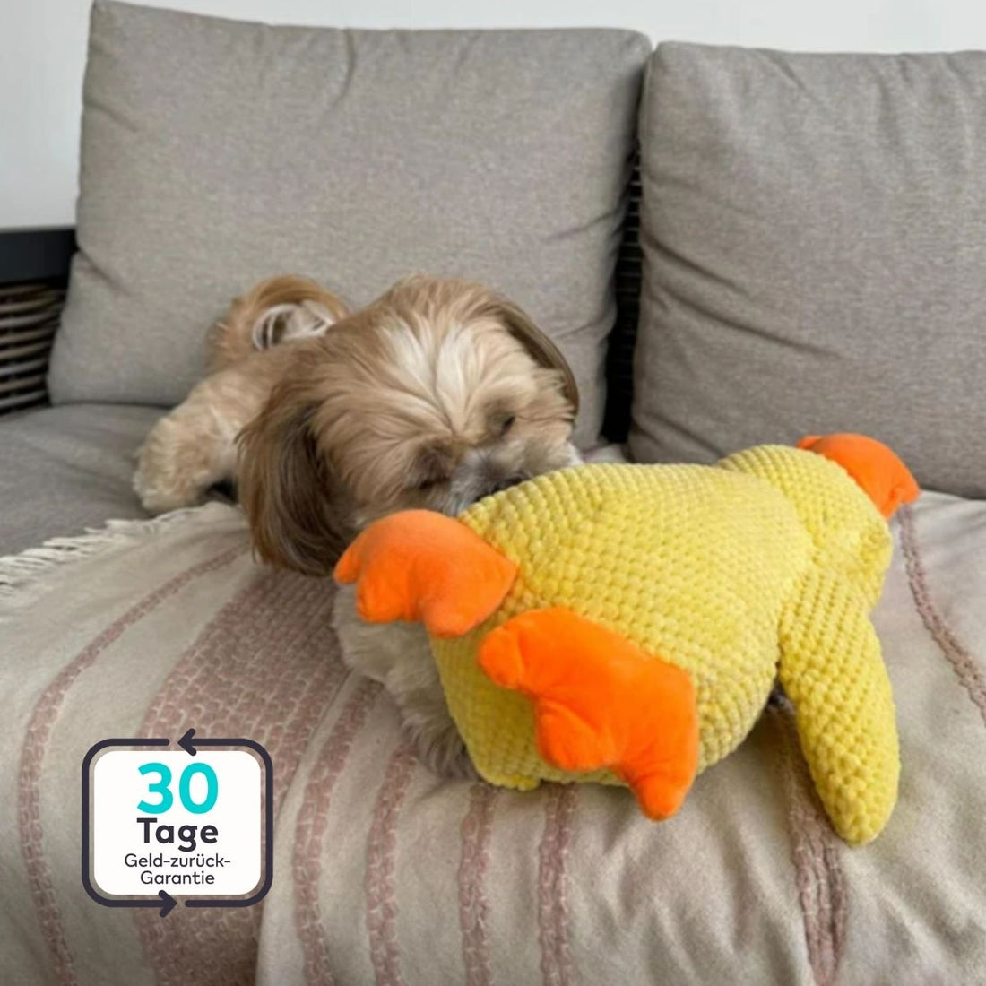 Serenosole™ CalmBuddy Anti-Stress Ente Hundespielzeug | Das ultimative Kuschelspielzeug für einen stressfreien Hund | Bestseller