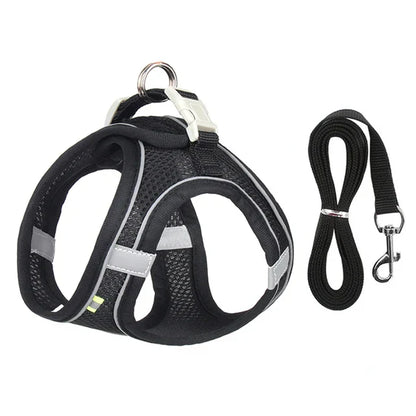 Serenosole™ CatVenture | Bequemes Anti-Ausbruch-Geschirr für Katzen | Von Tierärzten empfohlen (1+1 GRATIS)