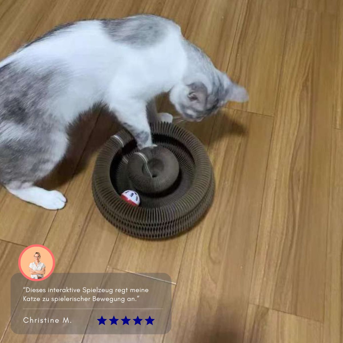Serenosole™ KittyKraze Katzenspielzeug | Regt den Geist und Körper Ihrer Katze an | Süßestes Katzenspielzeug 2024 (1+1 GRATIS)
