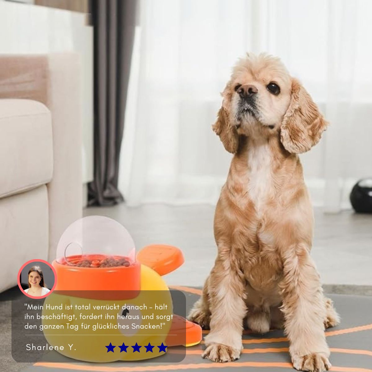 Serenosole™ PawSnack | Dein Hund spielt, drückt und bekommt Leckerlis | Schlauester Hunde-Leckerli-Spender 2025