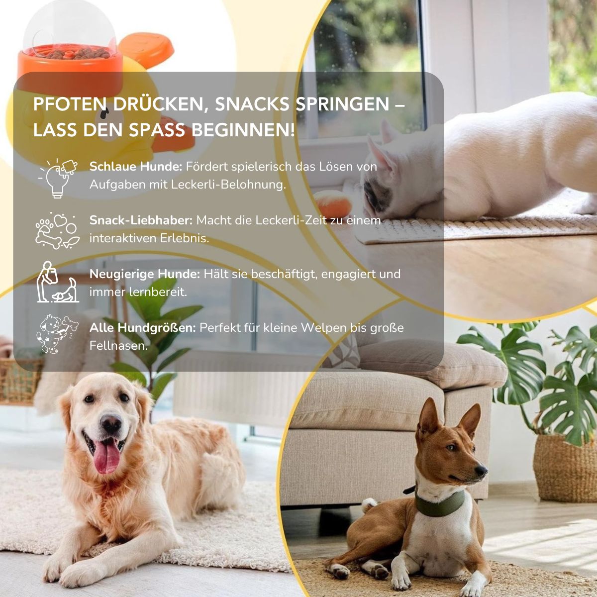 Serenosole™ PawSnack | Dein Hund spielt, drückt und bekommt Leckerlis | Schlauester Hunde-Leckerli-Spender 2025