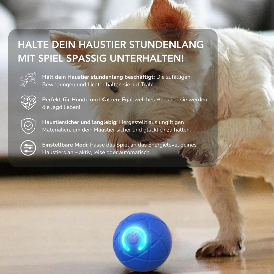 Serenosole™ ChaseGlow | Hüpft, rollt und leuchtet – endloser Spaß für dein Haustier | Interaktivster Haustierball 2025