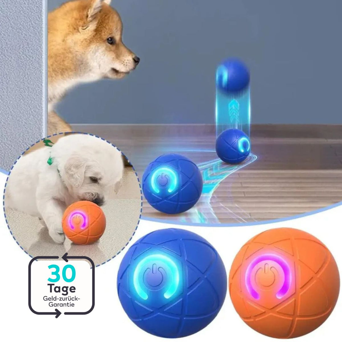 Serenosole™ ChaseGlow | Hüpft, rollt und leuchtet – endloser Spaß für dein Haustier | Interaktivster Haustierball 2025