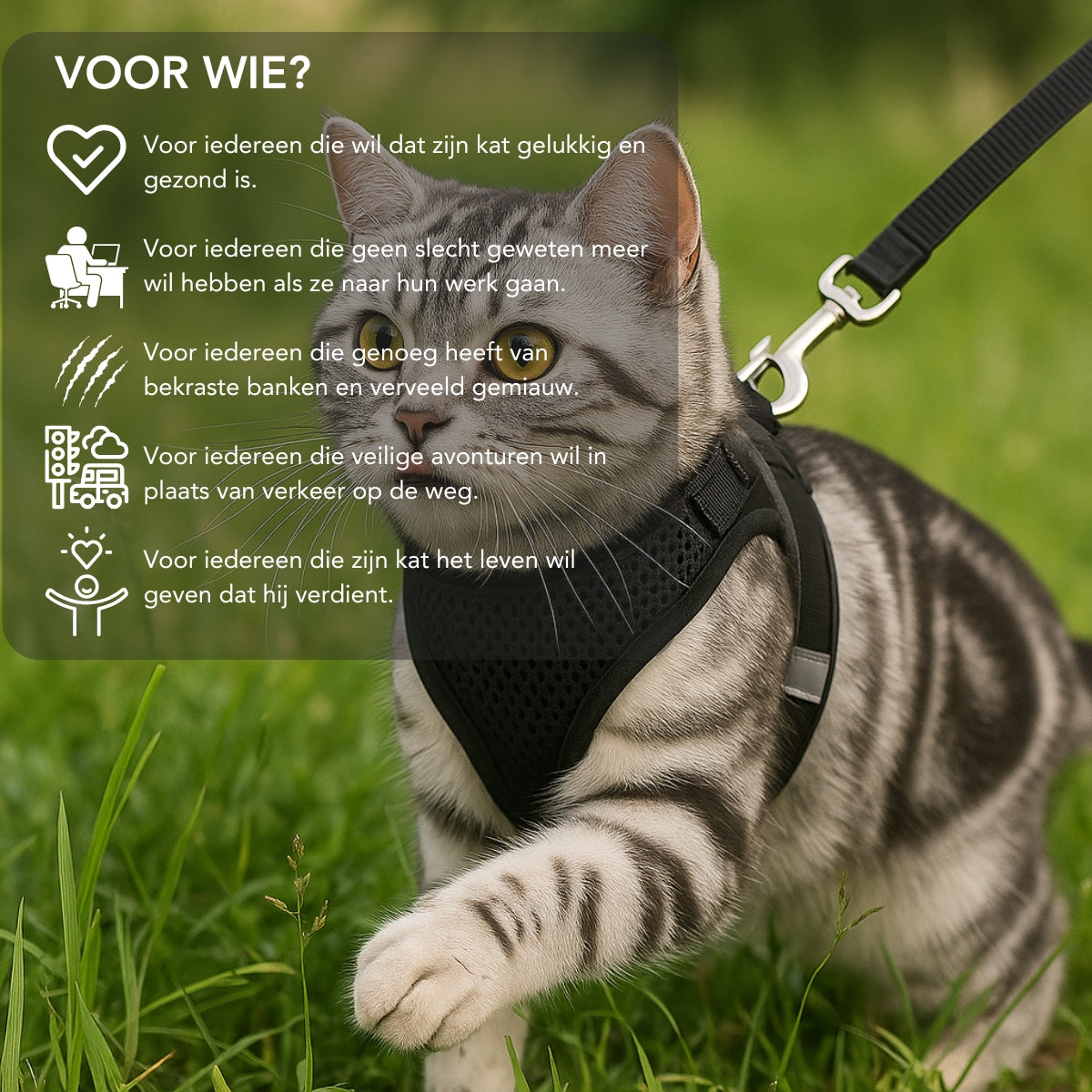 Serenosole™ CatVenture | Comfortabel anti-ontsnappingstuigje voor katten | Aanbevolen door dierenartsen (1+1 GRATIS)