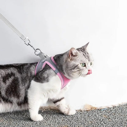 Serenosole™ CatVenture | Bequemes Anti-Ausbruch-Geschirr für Katzen | Von Tierärzten empfohlen (1+1 GRATIS)