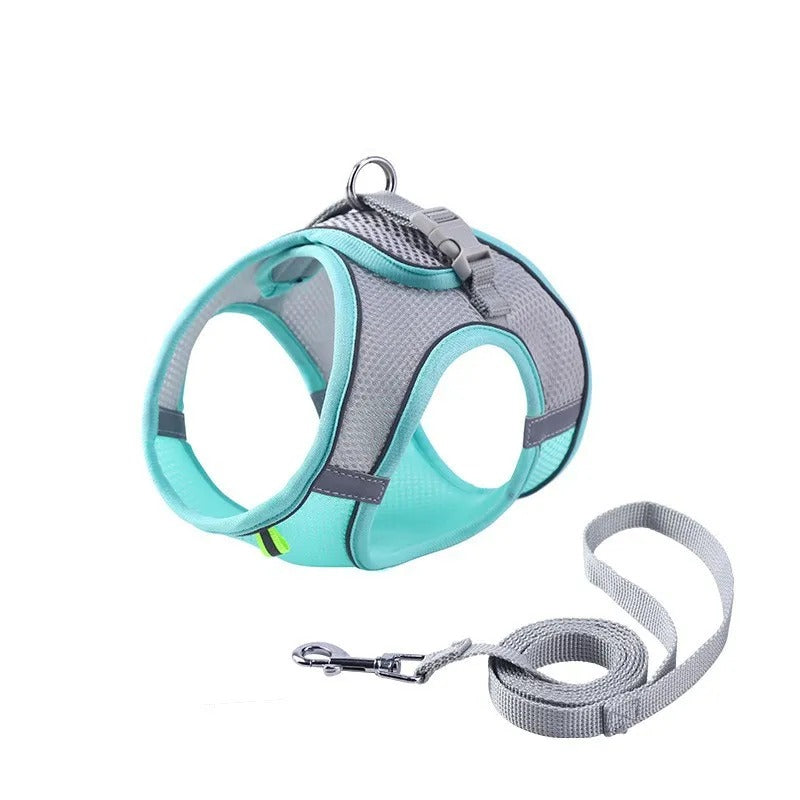 Serenosole™ CatVenture | Bequemes Anti-Ausbruch-Geschirr für Katzen | Von Tierärzten empfohlen (1+1 GRATIS)