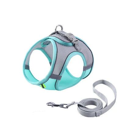Serenosole™ CatVenture | Bequemes Anti-Ausbruch-Geschirr für Katzen | Von Tierärzten empfohlen (1+1 GRATIS)