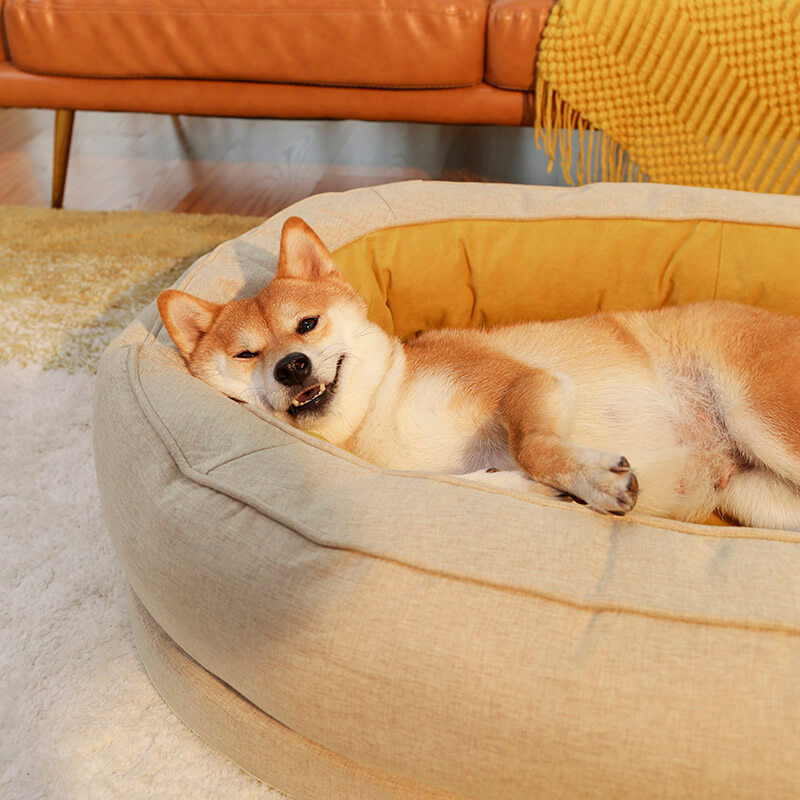 Serenosole™ DreamPaws Hundebett | Schafft den ultimativen Entspannungsplatz für deinen Hund | Das perfekte Hundehimmel 2024